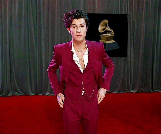 Grammy Awards 2020: Shawn Mendes in Louis Vuitton, Tom + Lorenzo