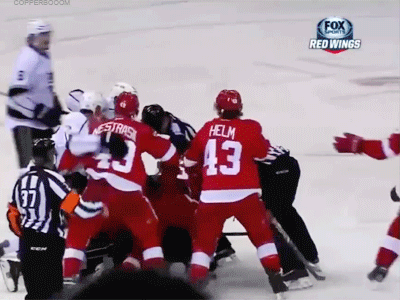 2 hockey players hug it out. while the others fight (x-post from r