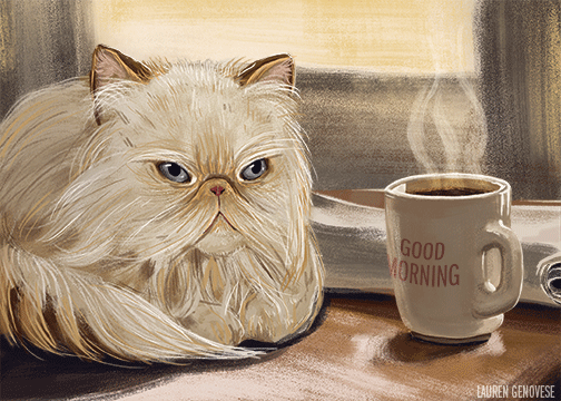 Beirut Cat Café - Rest in peace, Grumpy Cat 😿 This cutie