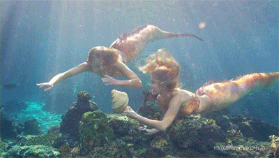 Sirena  Mako mermaids, H2o mermaids, Mermaid pictures