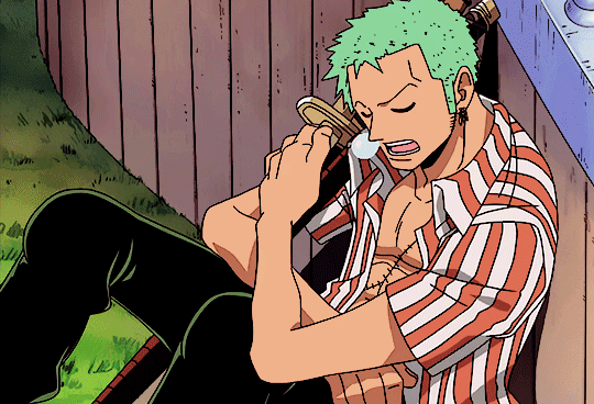 Image tagged with One Piece Roronoa Zoro pirate on Tumblr