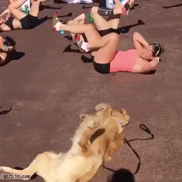 21 Best GIFs Of All Time Of The Week #224 – Funny Or Die