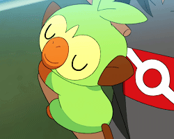 Clube Pokémon - Grookey (Tipo Grama) - Um Pokémon Chimp