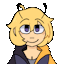pandoragigi