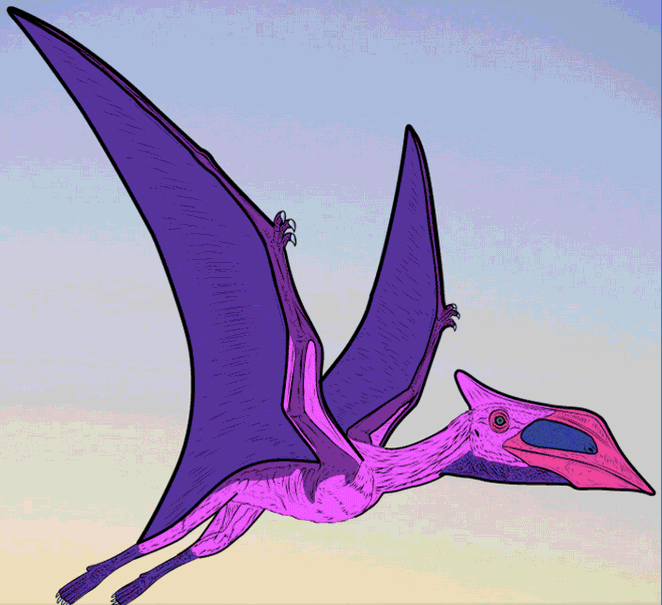 Sorry for spamming weird pterosaurs, but heres Anurognathus, a