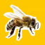 approximately-74373-bees