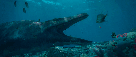 Shakespeare Omnibus, This is Hoffman’s mosasaur, the ocean’s deadliest...