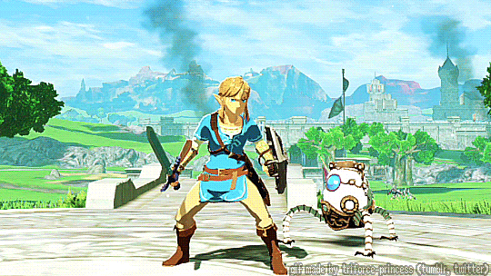 The Legend of Zelda- Link Variations Gif by Atlus154274 on DeviantArt