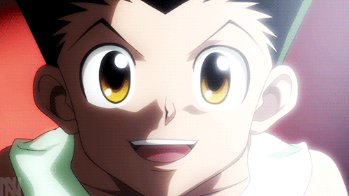 killua and gon light