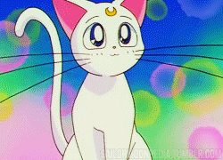 Pretty Guardian In A Sailor Suit Sailormoonpedia Episode 141 Storm Of Love