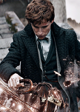 Mischief Managed : EDDIE REDMAYNE As NEWT SCAMANDER FANTASTIC...