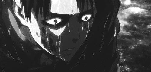 Can I Have A Levi X Reader Angst Fluff Smut