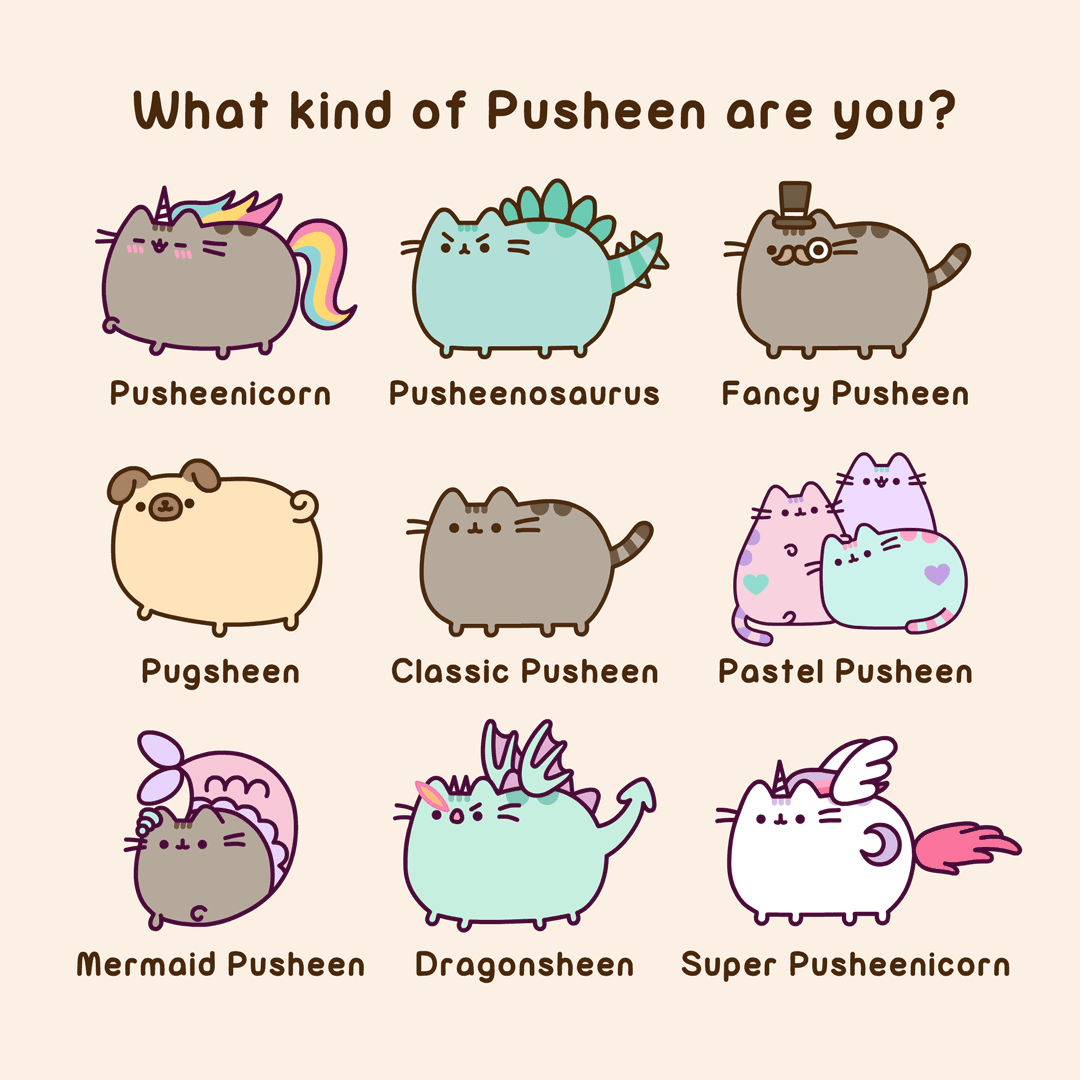 pusheen real cat