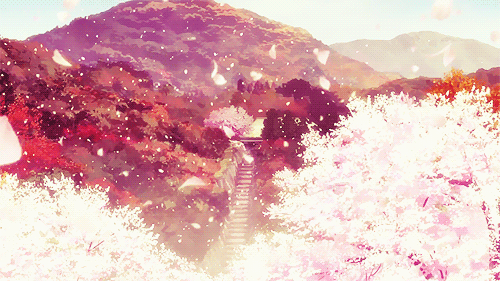 ANIME ASTROLOGY — The Signs as Cherry Blossom Sceneries