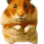 pupillager