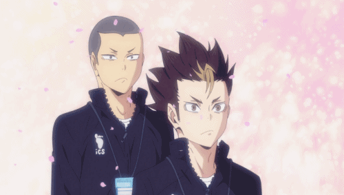 Haikyuu!! (Yuu Nishinoya, Ryuunosuke Tanaka) - Minitokyo