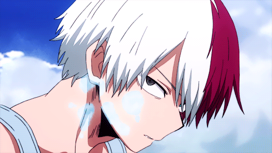 mistrust •shouto todoroki x reader•