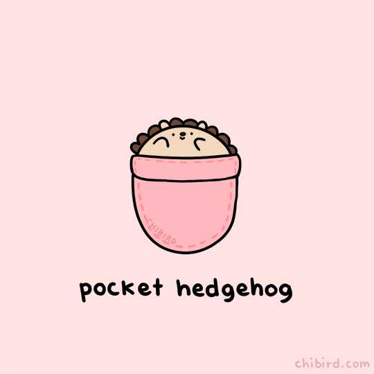 POCKET HUG ♡