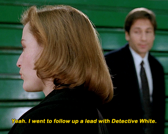 Scientific Nature of the Whammy — The X Files | 3x13 “Syzygy”