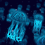 ofspaceandsea