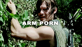 Daryl Dixon Arm Porn - Norman Reedus tumblr â€” Daryl Dixon Porn Pack [insp.]