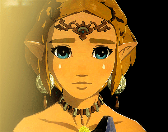 vindicia - THE LEGEND OF ZELDA: TEARS OF THE KINGDOM