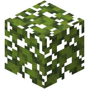 Minecraft, ANGRY LEAF BLOCK!!