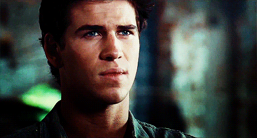 the hunger games gale