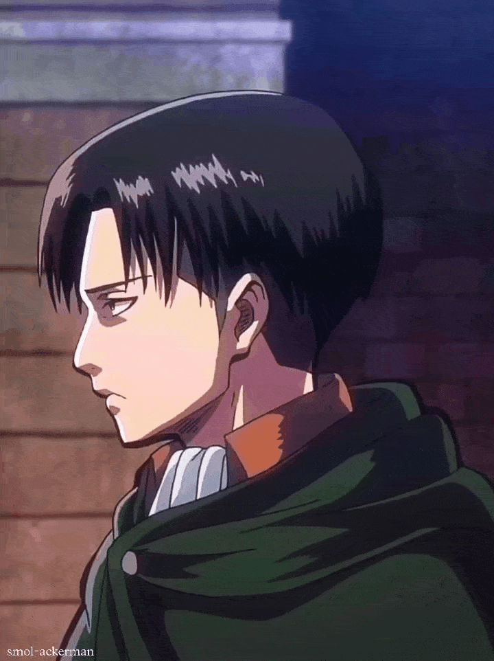 🔸JANUARY BLUES🔸 — Levi Ackerman gifs 進撃の巨人 S1 Ep. 9: Whereabouts of...