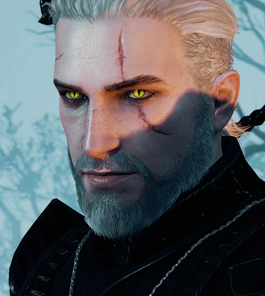 Anyone know the face/hair/eyes mods used here for Geralt? : r/Witcher3