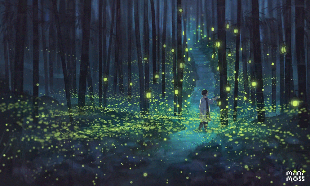 fireflies tumblr