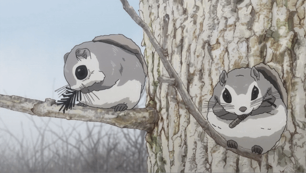 cute flying squirrel drawing