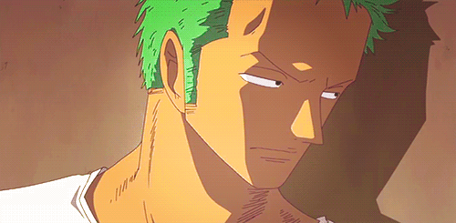 One Piece tumblr  One piece tumblr, Zoro one piece, Roronoa zoro