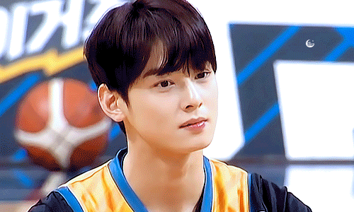 What is your honest opinion about Cha Eun-woo's relationship with
