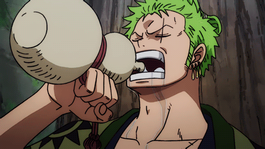 Zoro Oneshot (Request)~ Not So Drunk Night, This World And Ours (One Piece  x Chubby! Reader)