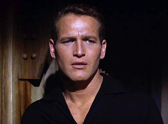 Paul Newman In Sweet Bird Of Youth Dir Filmgifs