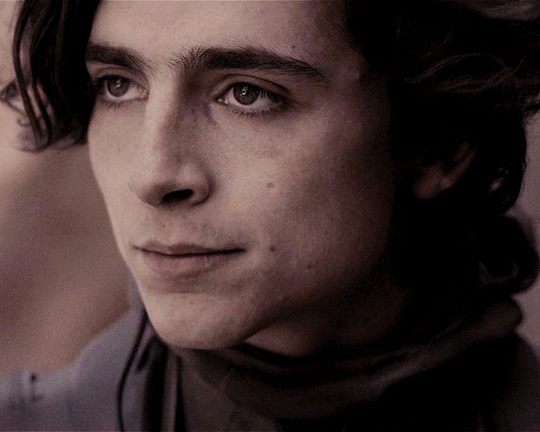 The Show Must Go On — Can I Request A Paul Atreides X Reader With Paul