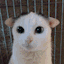 fuanfu