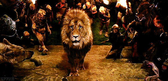 mighty red pen on X: BTW, am I the only one who thinks this  turkeys-circling-dead-cat thing is just a rip off of the Aslan death scene  in Narnia? C'mon, turkeys.  /