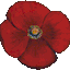 valmuemarken