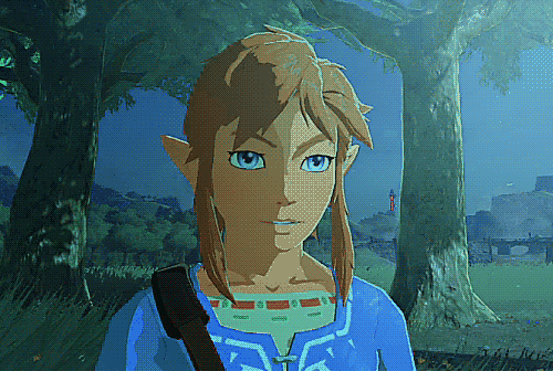 Zelda the legend of zelda link GIF on GIFER - by Dilrajas