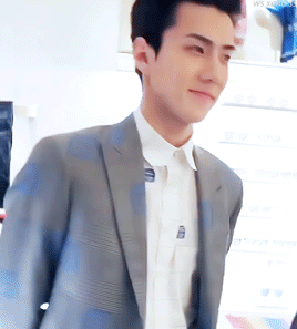 EXO's Sehun spotted at the 'Louis Vuitton Cruise 2019' event with
