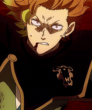 My Blog Finral Roulacase フィンラル ルーラケイス Black Clover