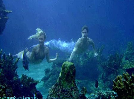 Mako Mermaids Transformations Season 2 - video Dailymotion