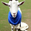 21goat-g