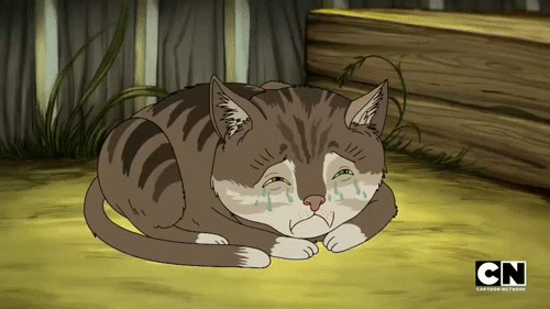 Crying Cat GIFs