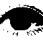 courier00110001