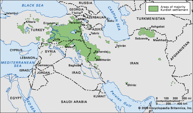 The Evolution of Blonde Hair in Kurdish Genetics - wide 5