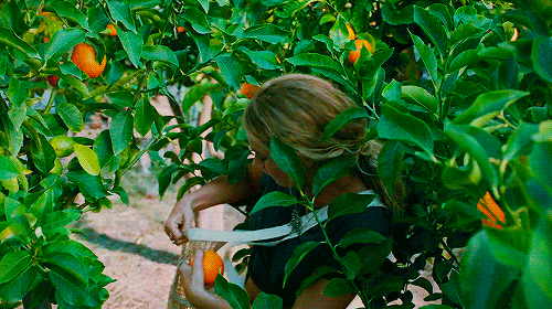 flawlessbeautyqueens  Lily james, Mamma mia, Mama mia