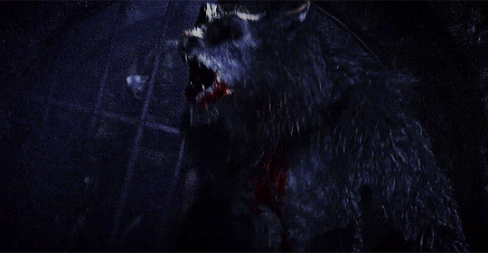 Maverick-Werewolf — Werewolf Fact #60 - Werewolves Have Tails